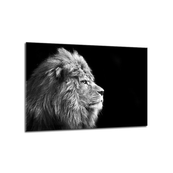 Obraz Styler Glasspik Canvas Animals Lion, 70 x 100 cm