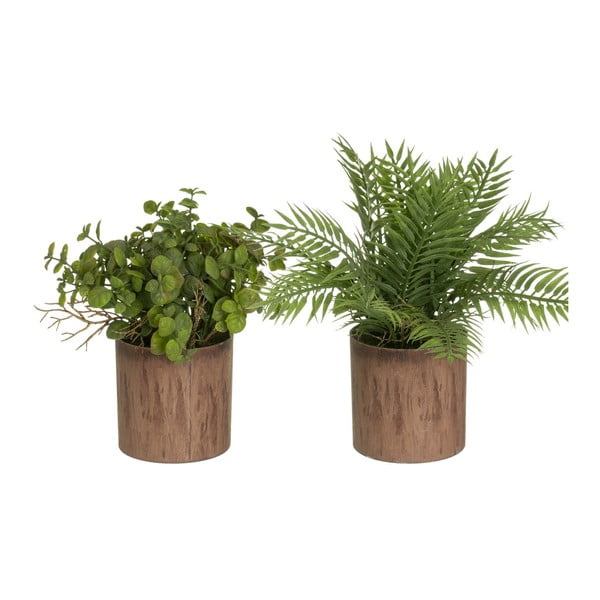 Umělé rostliny v sadě 2 ks (výška 22 cm) – Casa Selección