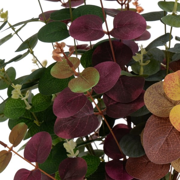 Umělý eukalyptus 4 ks (výška 85 cm) – Casa Selección-image-4