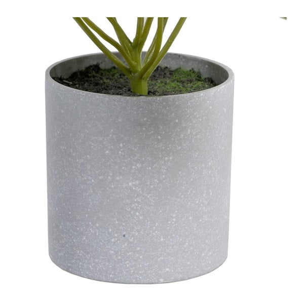 Umělá rostlina (výška 21 cm) Syngonium – Ixia-image-1