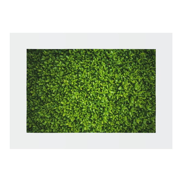 Zelený koberec Oyo home Suzzo Grass, 140 x 220 cm-image-2