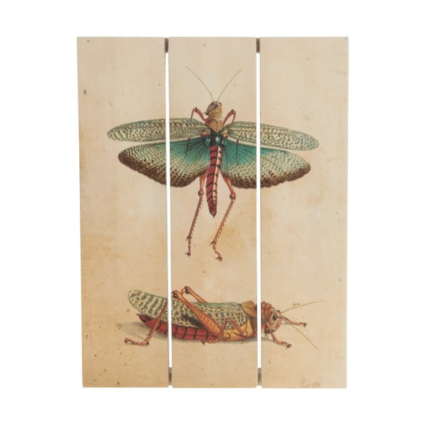 Dřevěný obraz Dijk Natural Collections Grasshopper, 19x25 cm