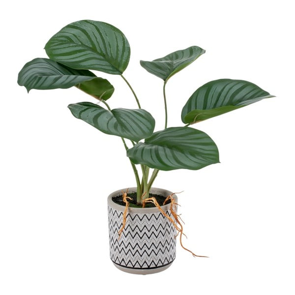 Umělá rostlina (výška 32 cm) Maranta – Ixia