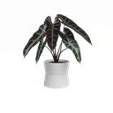 Keramický květináč ø 14 cm Diana – Artevasi