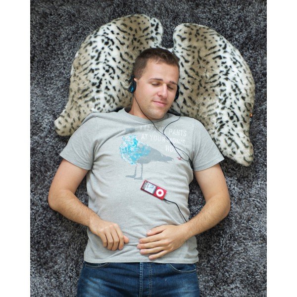Polštář Wings Joy Amethys-image-1