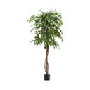 Umělý fíkus (výška 180 cm) Ficus – Kave Home