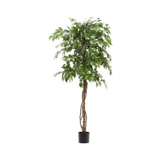 Umělý fíkus (výška 180 cm) Ficus – Kave Home