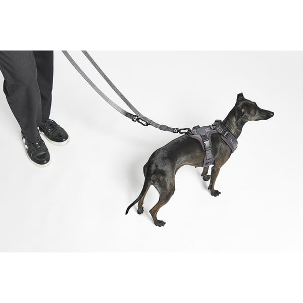 Béžové přepínací vodítko délka 200 cm Modena Greige 20 mm – MiaCara-image-1