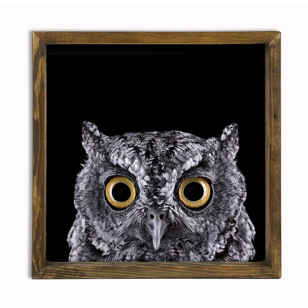 Nástěnný obraz Owl, 34 x 34 cm