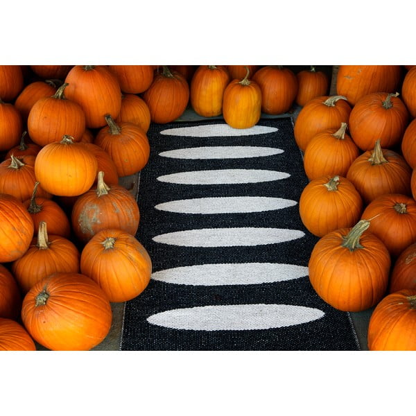 Černý vnitřní a venkovní běhoun 70x150 cm Ella Black – Pappelina-image-1