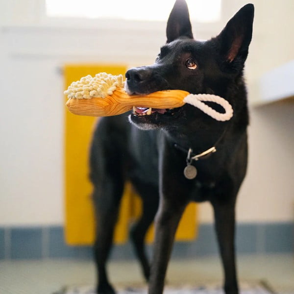 Hračka pro psa Kartáč – P.L.A.Y.-image-1