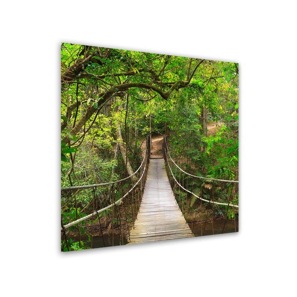 Obraz Styler Glas Nature Forest, 30 x 30 cm-image-1