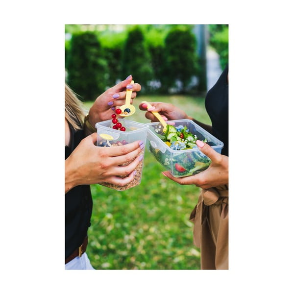 Zelená krabička na svačinu a oběd s příborem, Vialli Design, 650ml+230m-image-3