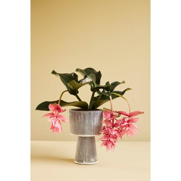 Sada 2 černo-béžových keramických květináčů Hübsch Pot-image-4