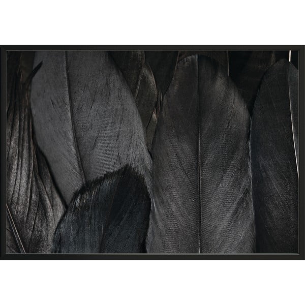 Plakát DecoKing Feathers Black, 50 x 40 cm