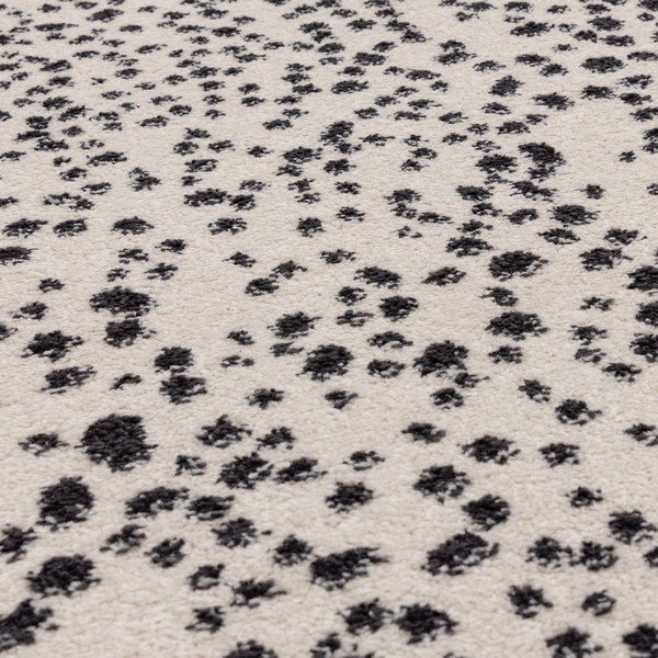 Černo-bílý koberec 160x230 cm Muse – Asiatic Carpets-image-2