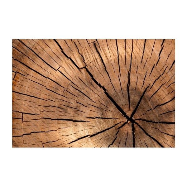 Víceúčelová podložka Papillon Wood