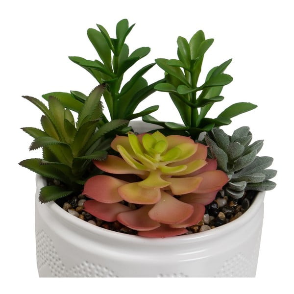 Umělé rostliny v sadě 2 ks (výška 19 cm) Cactus – Casa Selección-image-3