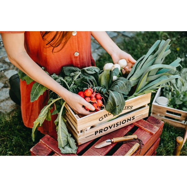 Set zahradnických nástrojů z jasanového dřeva Esschert Design Equal-image-2