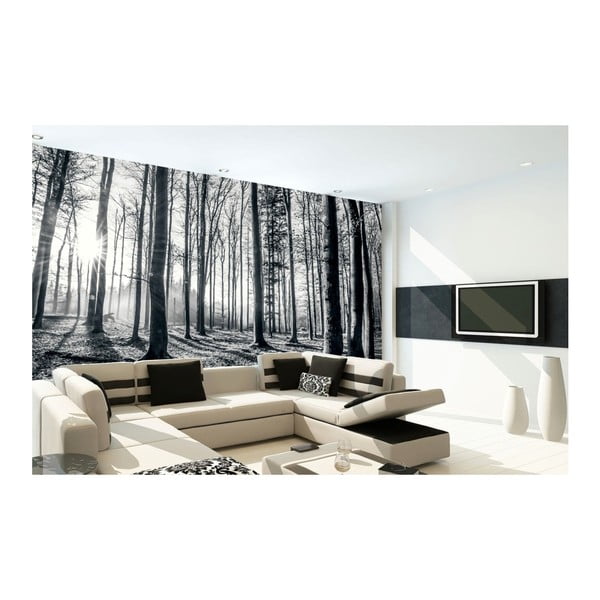 Velkoformátová tapeta Forest Shine, 315 x 232 cm