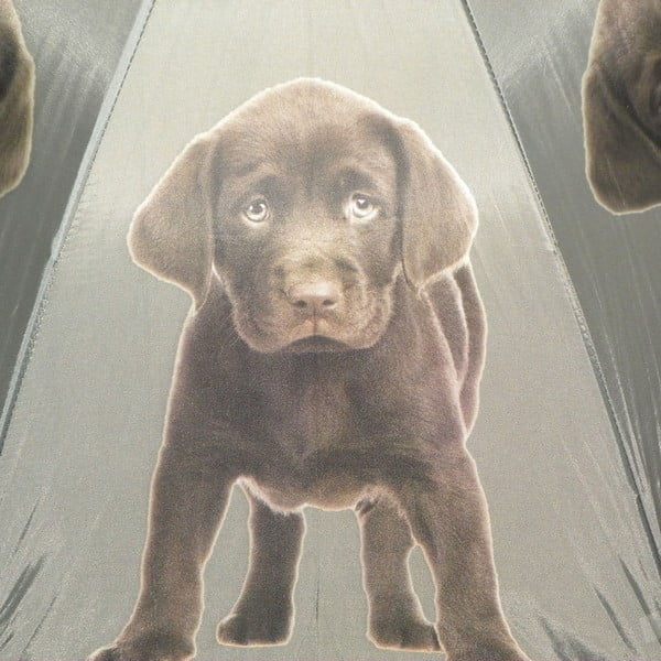 Deštník Mars&More Labrador Chocolate-image-2