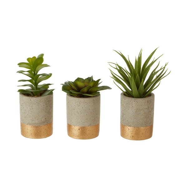 Sada 3 sukulentů v keramickém květináči Premier Housewares Fiori-image-1