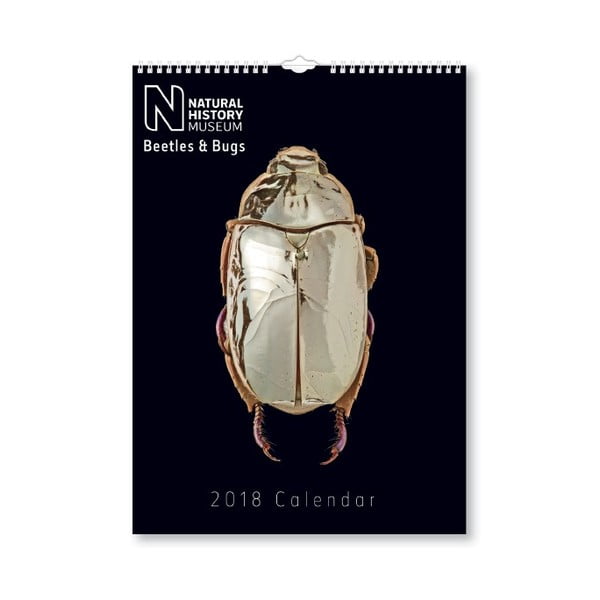 Nástěnný kalendář pro rok 2018 Portico Designs Natural History Museum Beetles & Bugs, A3