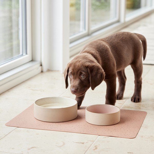 Keramická miska pro psa ø 13 cm Sia – OYOY Living Design-image-1
