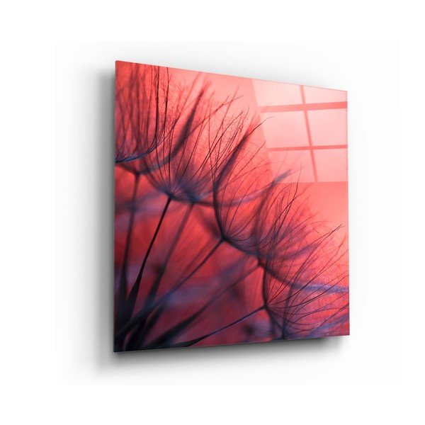 Skleněný obraz Insigne Red Dandelion, 40 x 40 cm