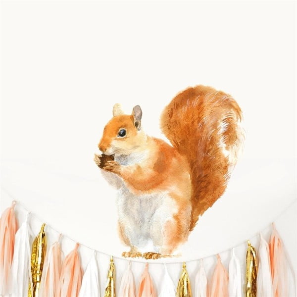 Nástěnná znovu snímatelná samolepka Chocovenyl Squirrel