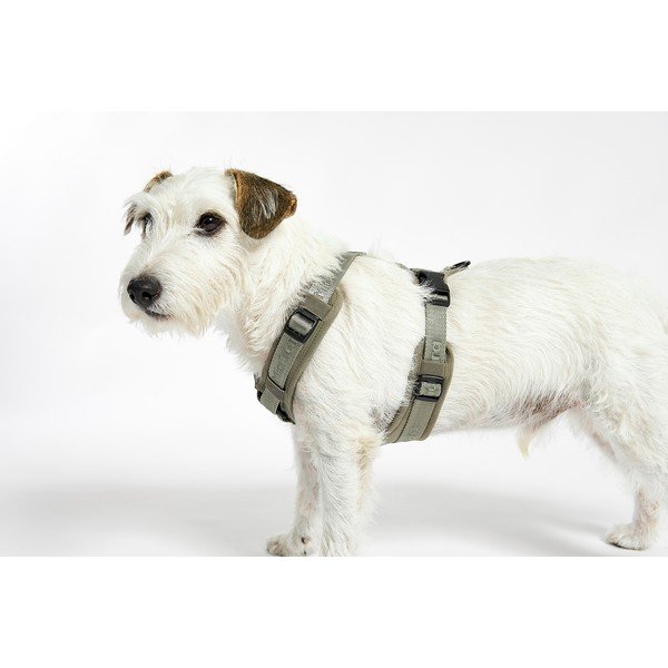 Zelený postroj velikost L délka 42 cm Modena Grolive L – MiaCara-image-3