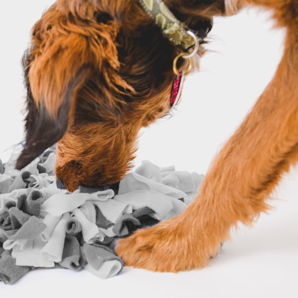 Čmuchací dečka – Love Story-image-1