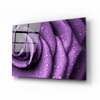 Skleněný obraz Insigne Purple Rose