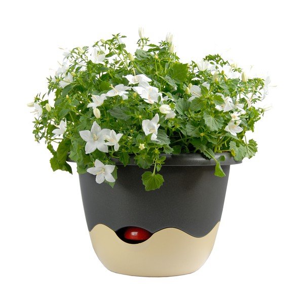 Modro-bílý samozavlažovací květináč vhodný k zavěšení Plastia Mareta, délka 30 cm-image-3
