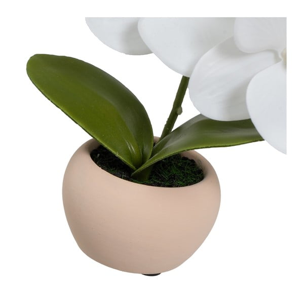 Umělé rostliny v sadě 3 ks (výška 15 cm) Orchid – Casa Selección-image-4