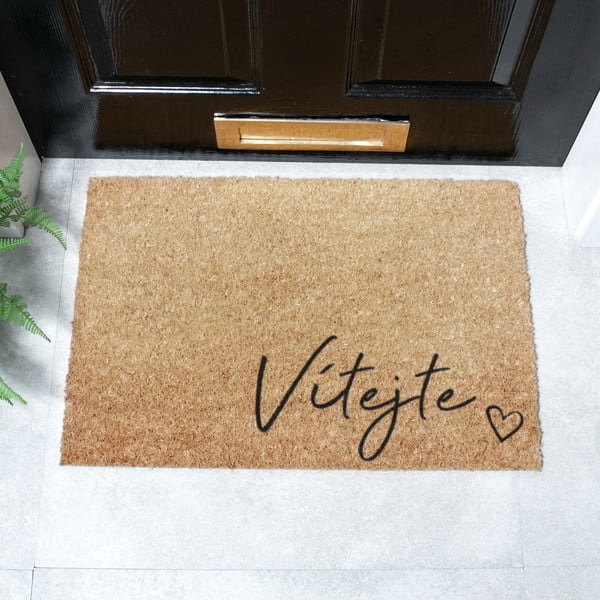 Rohožka z kokosového vlákna 40x60 cm Vítejte – Artsy Doormats-image-2