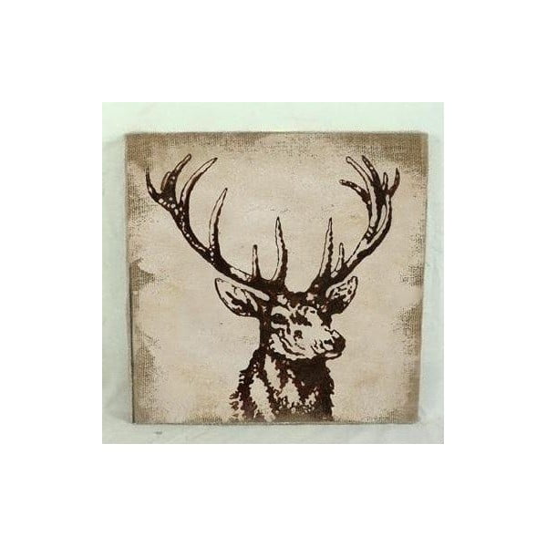 Obraz na plátně Deer, 31x31 cm