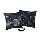 Dětský polštářek 40x40 cm Harry Potter "Hogwarts" – Jerry Fabrics