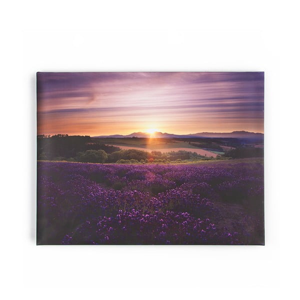 Obraz Graham & Brown Lavendar Sunset, 80 x 60 cm