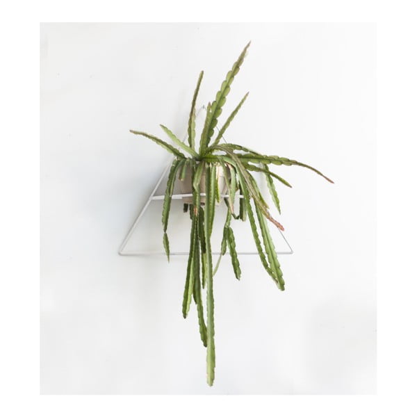 Bílý nástěnný držák na květináč Really Nice Things Triangle