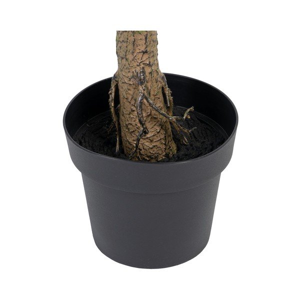 Umělý eukalyptus (výška 173 cm) Eucalyptus – Ixia-image-4