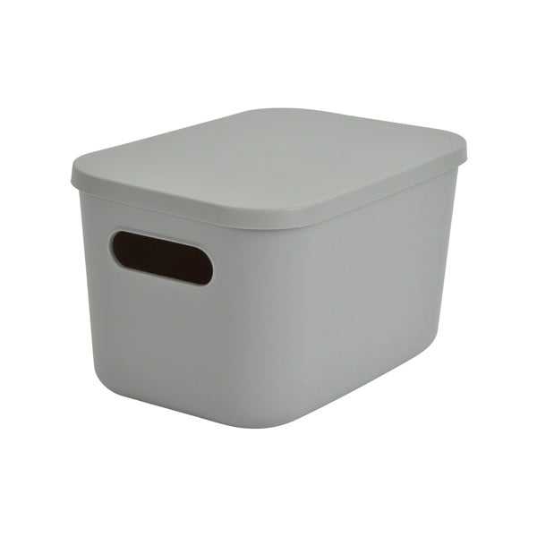 Šedý plastový úložný box s víkem 24,5x18x15 cm – Homéa
