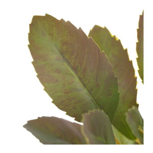 Umělá větvička (výška 37 cm) Lemon Tree – Ixia-image-2