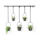 Plastové obaly na květináče v sadě 5 ks na bylinky/závěsné ø 7,5 cm Triflora – Umbra