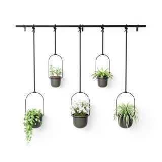 Plastové obaly na květináče v sadě 5 ks na bylinky/závěsné ø 7,5 cm Triflora – Umbra