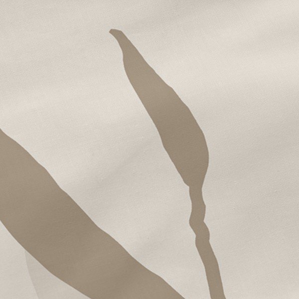 Bavlněné povlaky na polštáře v sadě 2 ks 50x75 cm Maple – Blanc-image-1