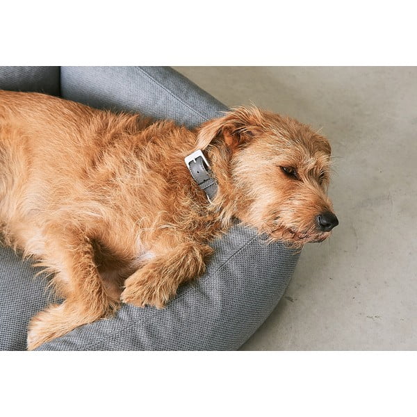 Hnědý pelíšek pro psa 55x70 cm Mare Kelp S – MiaCara-image-3