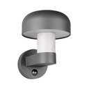 Nástěnné venkovní svítidlo (výška 24,5 cm) Fraser – Trio