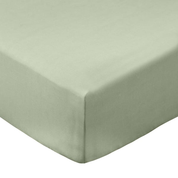 Zelené napínací prostěradlo z bavlněného perkálu 150x200 cm Cotton Percale – Bianca