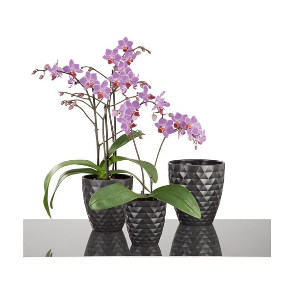 Květináč Antharzit Orchid